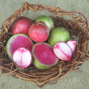 やさいやねこのて  もものすけ＆紅芯大根 農薬化学肥料不使用 皮ごとサラダで！ 