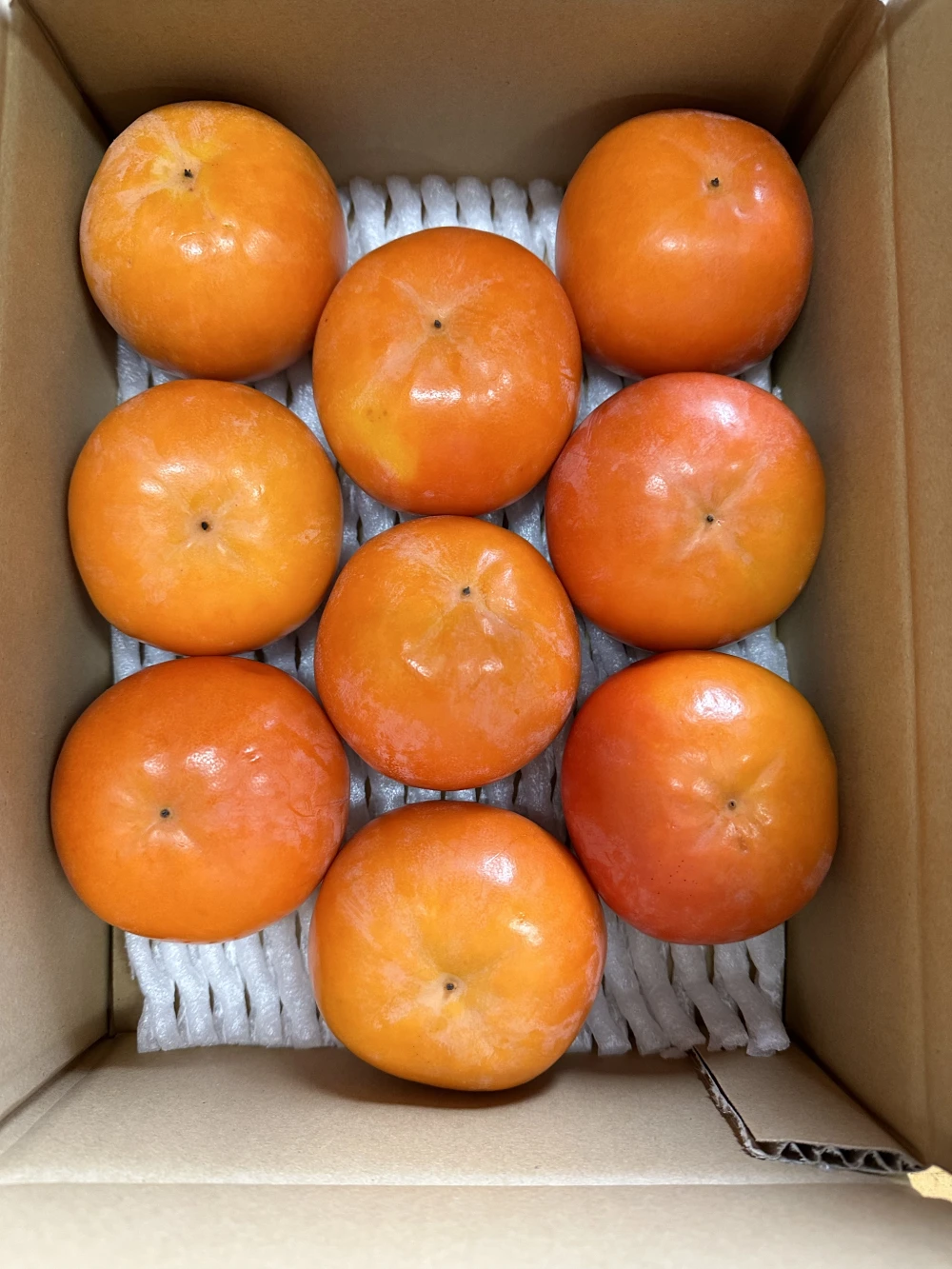 和歌山県産　富有柿（訳あり品）S Mサイズ