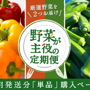【単月販売】厳選野菜を2つお届け「野菜が主役の定期便」6月発送分