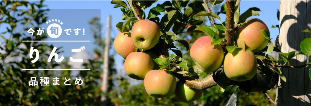 りんご39種類ご紹介。買って食べられるリンゴ品種図鑑(12/01更新) | 農家漁師から産地直送の通販 ポケットマルシェ