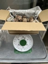 【高知県四万十町産/農薬・化学肥料不使用】里芋　1.8kg