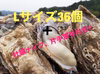 年末指定可‼︎ 南三陸産　Lサイズ真牡蠣36個＋牡蠣ナイフ、片手軍手付き‼︎
