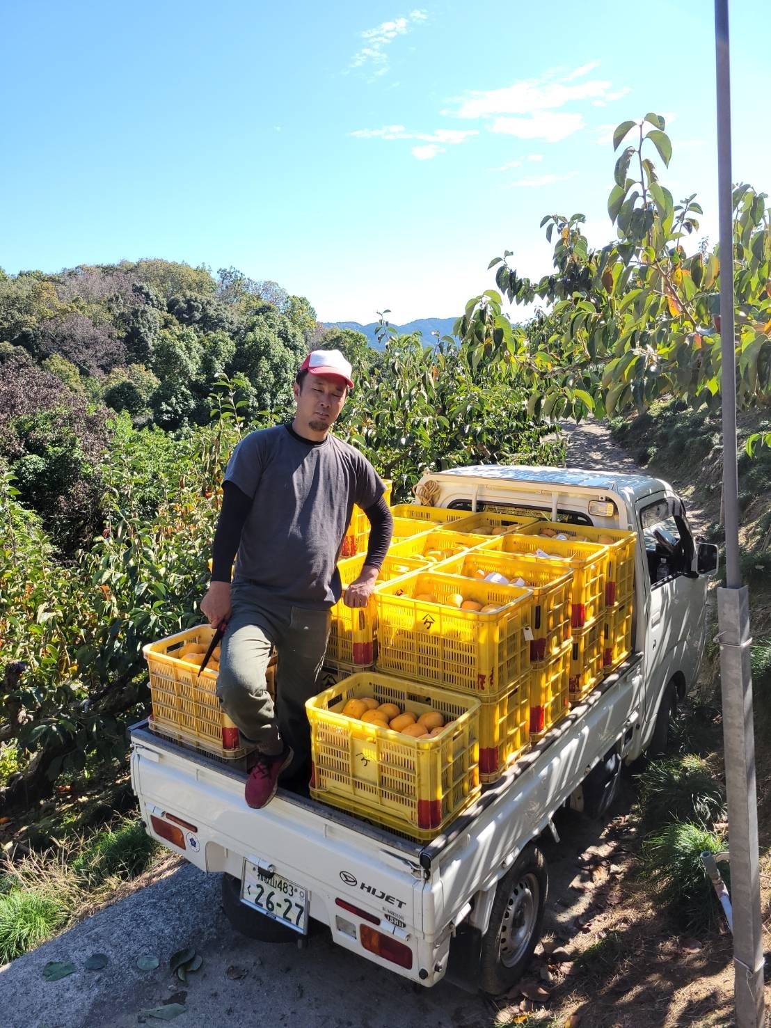 和歌山県橋本市｜藤田農園｜藤田久嗣さんの生産者プロフィール