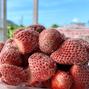 ヘタなし【あさも畑の冷凍イチゴ】京都大原野産