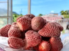 ヘタなし【あさも畑の冷凍イチゴ】京都大原野産