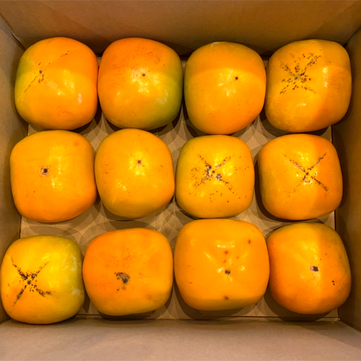和歌山県産九度山　農家直送　美味しい種無し柿たねなし柿甘い家庭用訳あり品10キロ