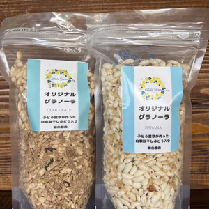 オリジナルグラノーラ　ぶどう農家が作った自家製干しぶどう入り　