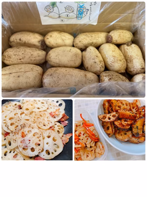 みんなの投稿の画像