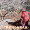 印度カリー子さんのレシピ付き！香りよくピリリと辛い青山椒(生・枝付き）谷奥深産