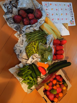 みんなの投稿の画像