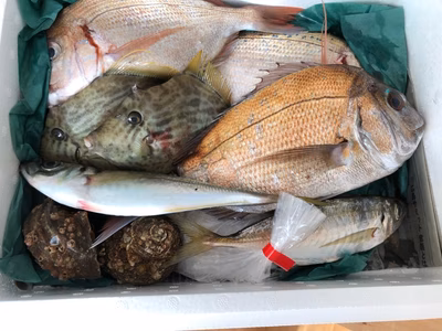 みんなの投稿の画像