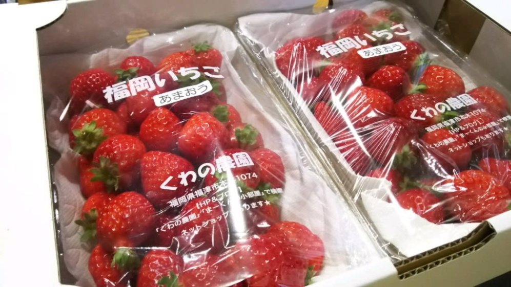 イチゴの日特別価格 あまおう 2パック入り 約1 000ｇ 農家漁師から産地直送の通販 ポケットマルシェ