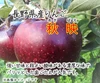 【レギュラー品】秋映 長野県産りんご 10月上旬～発送予定 