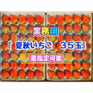 【業務用Sサイズ/着指定可能】青森県下北産　夏秋いちご「赤い妖精」