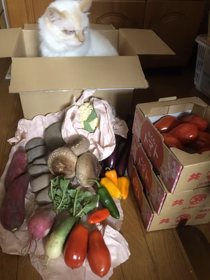 みんなの投稿の画像