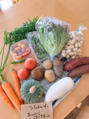 みんなの投稿の画像