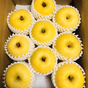 早い物勝ち　美味しさの極み　はるか約キロ