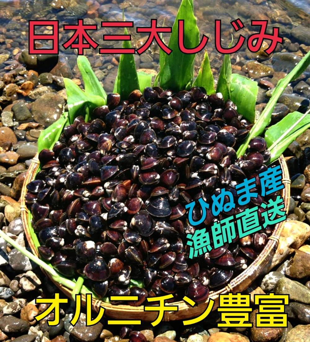 茨城県涸沼川産 砂抜き済み生しじみです 農家漁師から産地直送の通販 ポケットマルシェ