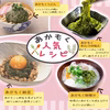 【がっつりストックお徳用】玄界灘産 アカモク １００個セット ギバサ 海藻