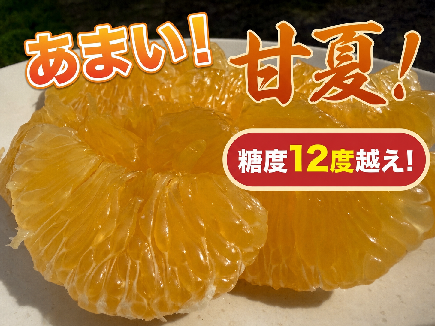 あまい❗️完熟甘夏みかん！肥料なし農薬なし、自然栽培｜みかんの商品