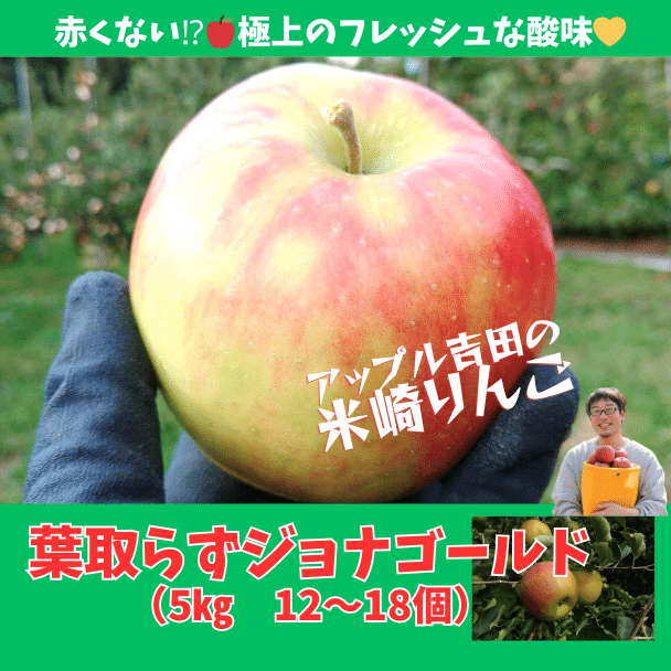 [米崎りんご]葉取らずジョナゴールド 特価!フレッシュな酸味! 5kg(14〜20個入り)