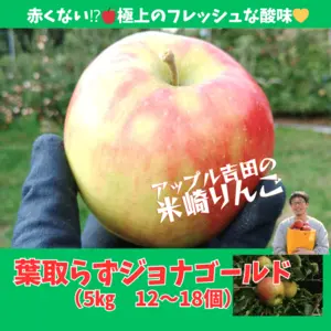【米崎りんご】葉取らずジョナゴールド　特価！フレッシュな酸味！