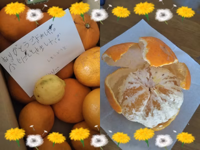 みんなの投稿の画像