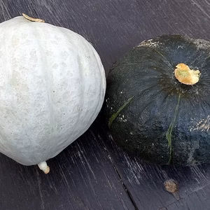 ★北海道★化学農薬不使用カボチャ：白九重栗とほろほろ栗カボチャ、合計2個セット