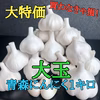 【母の日ギフト♡買わなきゃ損❗】青森ミネラルにんにく大玉1キロ（農家レシピ付）