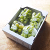 【ご自宅用】岡山県産シャインマスカット