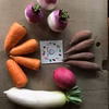 【離乳食にも！】根菜　お手軽野菜セット