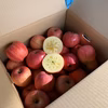 サンふじ‼️蜜入りりんご‼️　中玉訳あり5キロ