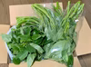 夏の葉物詰め合わせ！野菜の王様と空芯菜さん(モロヘイヤ500gと空芯菜1kg)♪