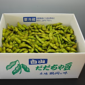 WBC優勝saleセール／TVで大人気「神の枝豆」よそべいのだだちゃ豆（冷凍）