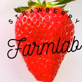 小淵 充 | FARM LAB