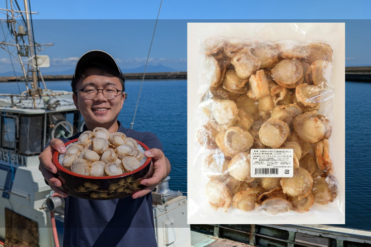 1粒1粒丁寧に育てました。青森県産ボイルホタテ 注文2万件突破！】60粒以上！旨味濃縮！青森県産蒸しほたて