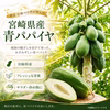 ＼PAPA CHA No.1／青パパイヤ酵素の王様ティー -グリーンパパイヤ- 