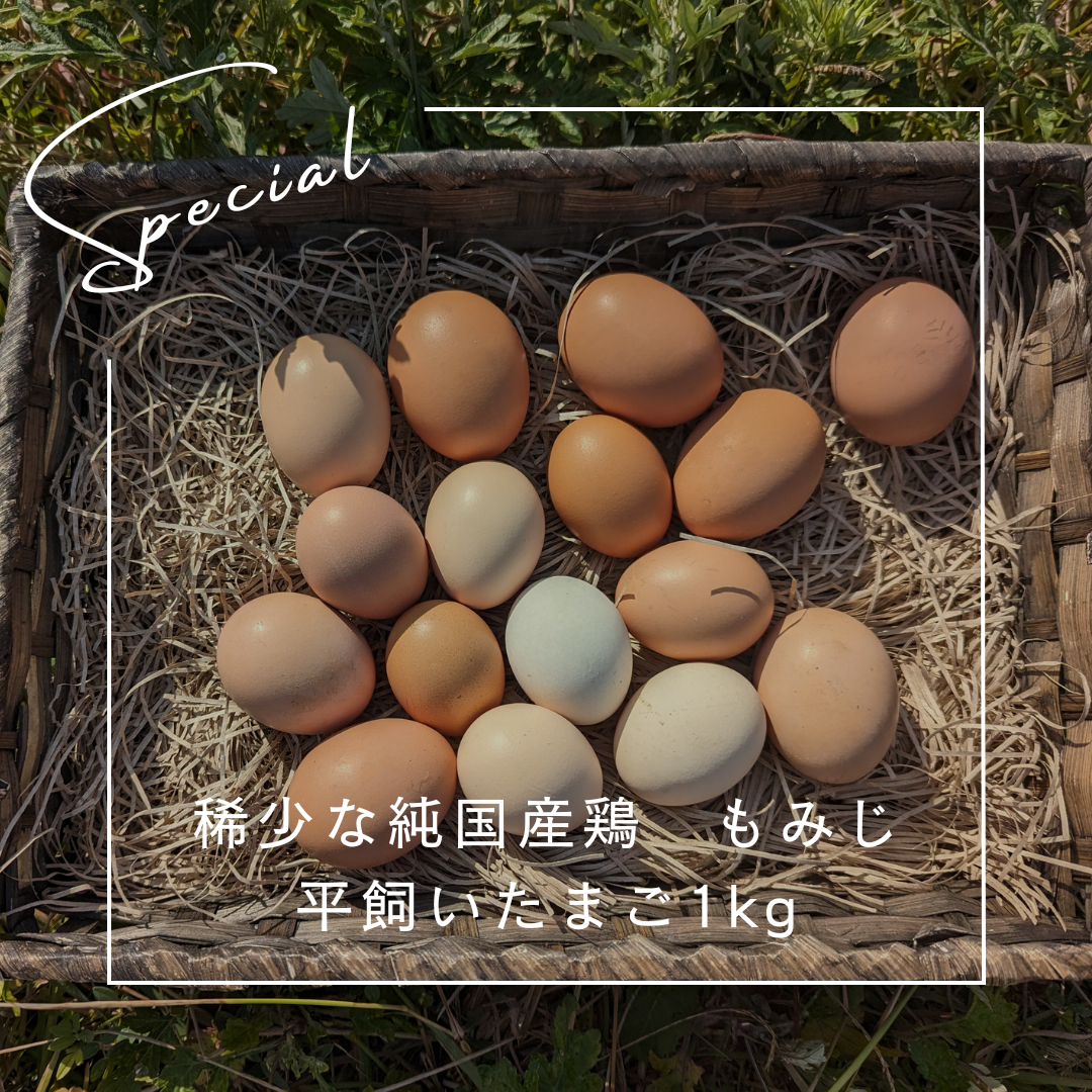 たまご！ たまごっち H-4582769803222 バンダイ Original Tamagotchi