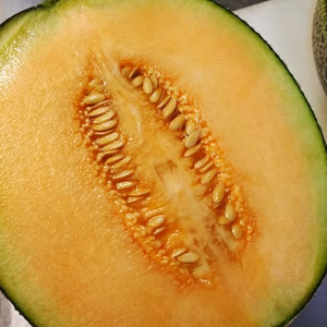 【家庭用】☆肥後ロッソメロン☆