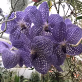 めいめい&ロザリー