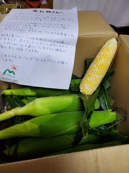 まるでフルーツのようなトウモロコシ ドルチェドリーム 農家漁師から産地直送の通販 ポケットマルシェ