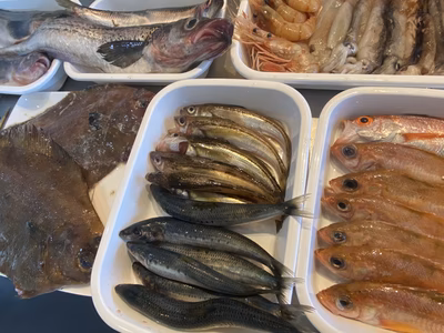 みんなの投稿の画像