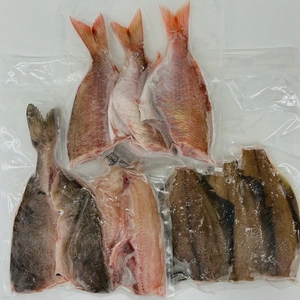 【冷凍】未利用魚お手軽3種セット！真空&−60℃で鮮度抜群！！