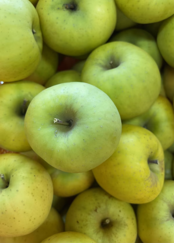 希少品種‼️幻のりんご山形県産青林（せいりん）【3キロ満杯詰め】