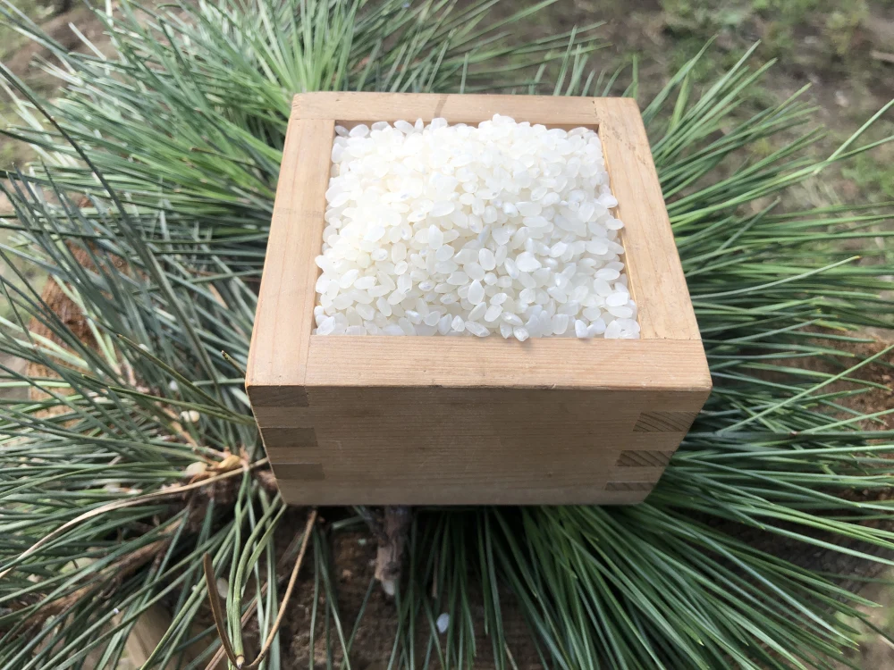 じんでんコシヒカリ7分精米５キロ