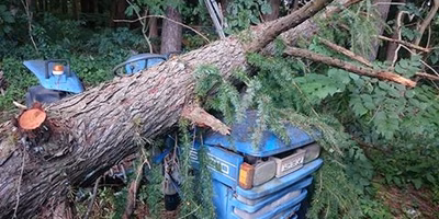 ＩＳＥＫＩ耕太（４０歳）がやられた
