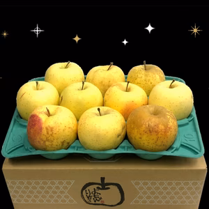 「希少!サン金星!! 」家庭用約2.7Kg青森県産【農薬節減栽培】数量限定