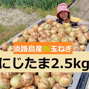 【みずみずしく甘っ！】淡路島産ブランド新玉ねぎ 『にじたま』一級品2.5kg