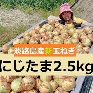 【みずみずしく甘っ！】淡路島産ブランド新玉ねぎ 『にじたま』一級品2.5kg