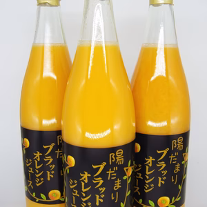 三ヶ日産ブラッドオレンジジュース 100％ストレート720ml×3本セット